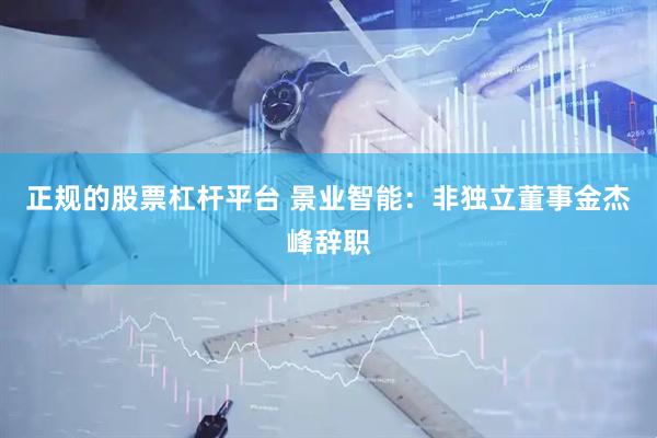 正规的股票杠杆平台 景业智能：非独立董事金杰峰辞职