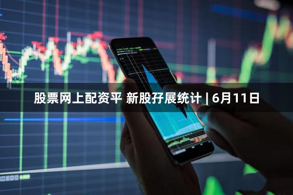 股票网上配资平 新股孖展统计 | 6月11日