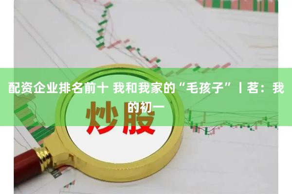 配资企业排名前十 我和我家的“毛孩子”丨茗：我的初一